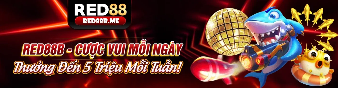 Hình ảnh đại diện cho Chính sách quyền riêng tư của Win55